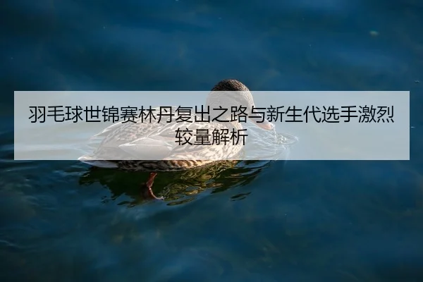 羽毛球世锦赛林丹复出之路与新生代选手激烈较量解析
